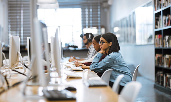 group of people working on desktop computers